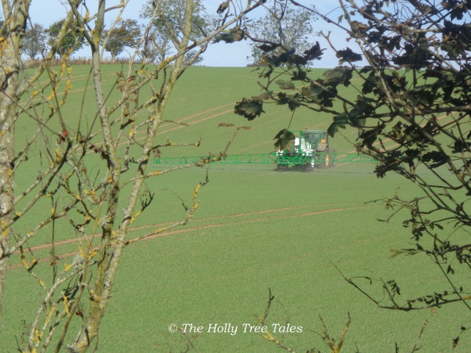 September 2014, Autumn - RoundUp (glyphosate) being sprayed on the field beside our house - we had not yet closed our kitchen windows, nor are we protected from this toxic spraying in any event anyway.